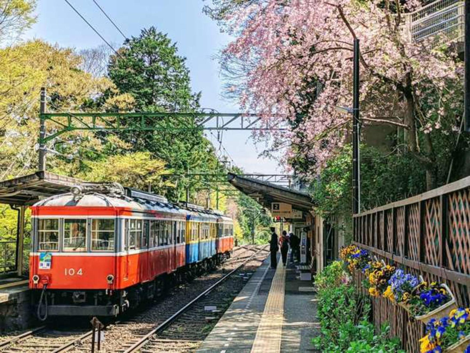 Hotel Morinokaze Hakone Sengokuhara Zewnętrze zdjęcie