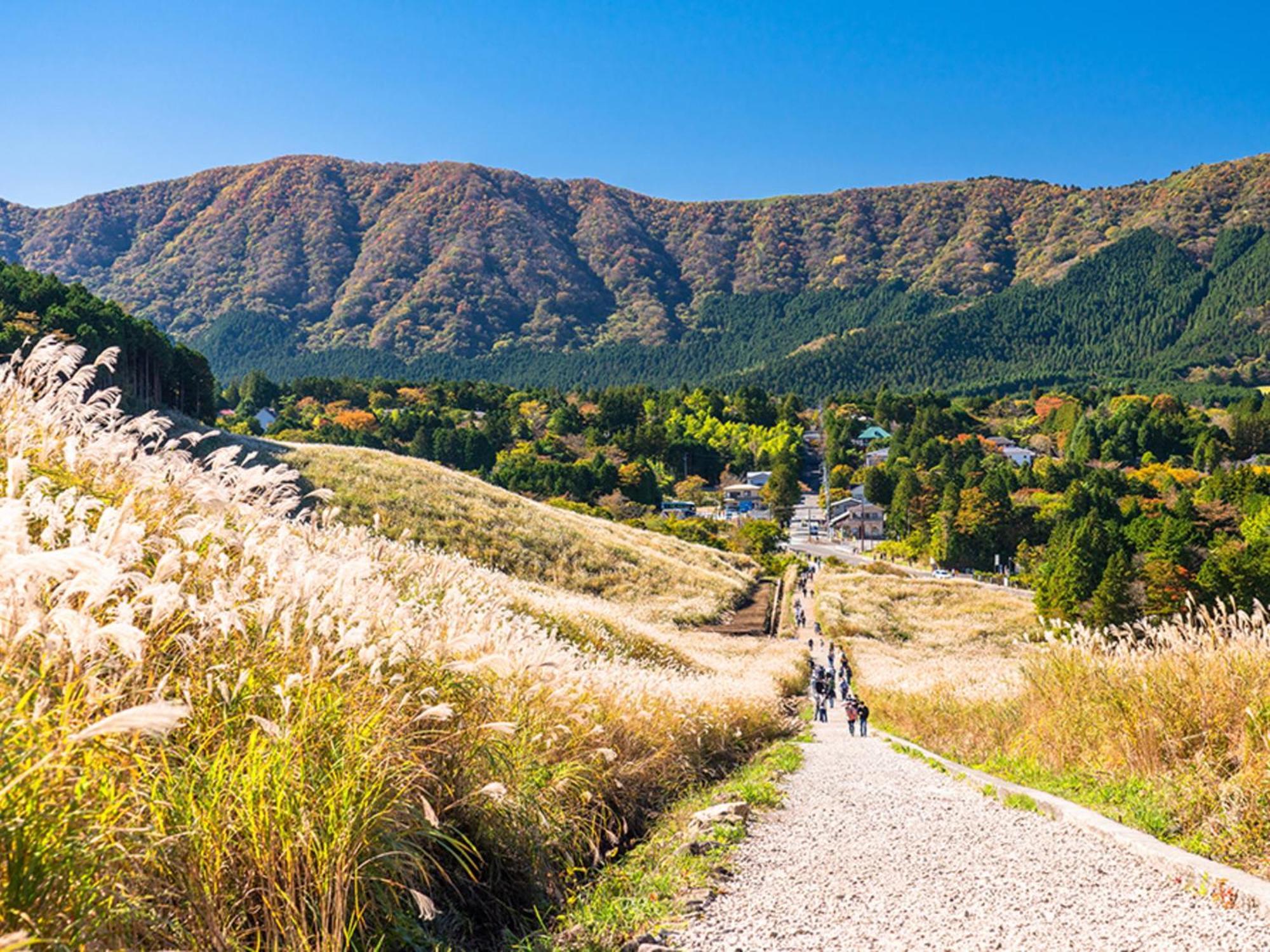 Hotel Morinokaze Hakone Sengokuhara Zewnętrze zdjęcie